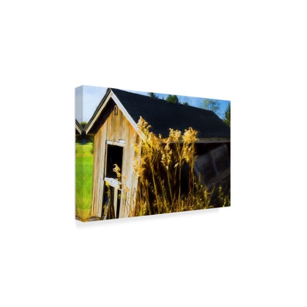 Anthony Paladino 'Golden Rods Along Abandon Barn Autumn' Canvas Art,12x19